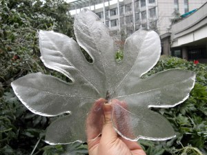 Another Leaf-shaped Ice